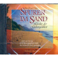 Spuren im Sand