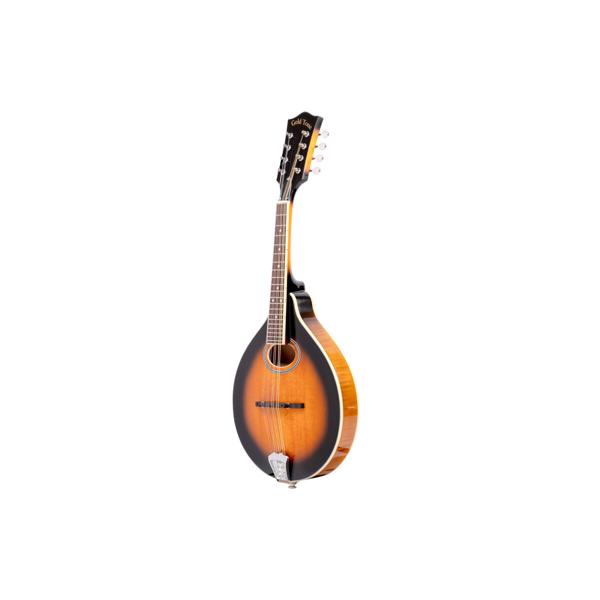 Gold Tone Mandolin GM-50 L box