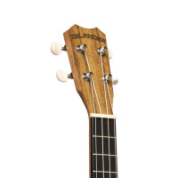 Islander Tenor Ukulele AT-4 Flamed