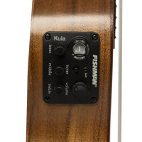 Islander AC-4 Flamed EQ