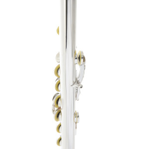 Armstrong childrens flute FL655