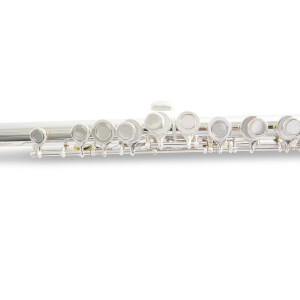 Armstrong childrens flute FL655