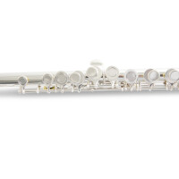 Armstrong childrens flute FL655