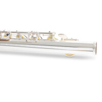 Armstrong childrens flute FL655