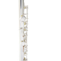 Armstrong childrens flute FL655