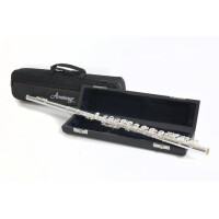 Armstrong flute FL650RI