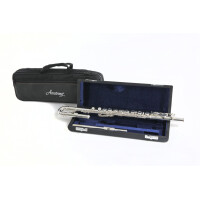 Armstrong flute FL650E2