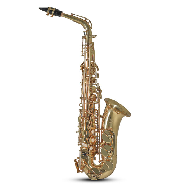 Conn Eb Alto Saxophone AS501