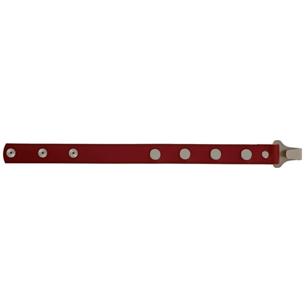 Gewa accordion cross strap Warnke red