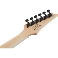 Ibanez GRGR221PA-AQB
