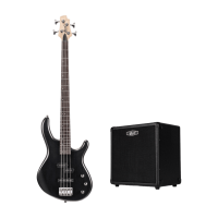 Cort Action PJ OPB2 Bass Package