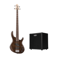 Cort Action PJ OPW2 Bass Package