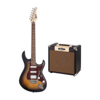 Cort G110 OPSB Gitarren Paket