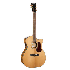 Cort Gold OC6 Bocote