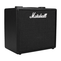 Marshall CODE25