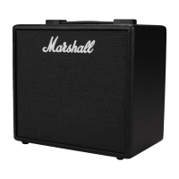 Marshall CODE25