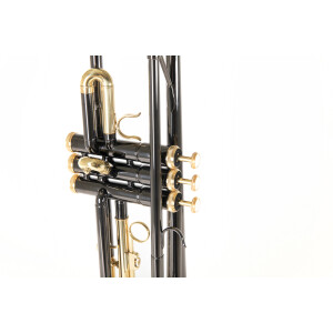 Roy Benson Bb-Trompete TR-101K  B-Ware