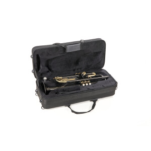 Roy Benson Bb-Trompete TR-101K  B-Ware