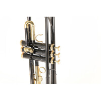 Roy Benson Bb-Trompete TR-101K  B-Ware