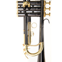 Roy Benson Bb-Trompete TR-101K  B-Ware