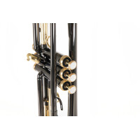 Roy Benson Bb-Trompete TR-101K  B-Ware