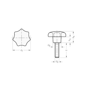 Mott Sterngriffschraube M8 x15