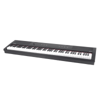 GEWA Portable Piano PP-3