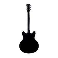 VOX Bobcat S66 Black