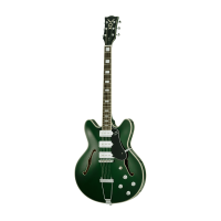 VOX Bobcat S66 Italian Green