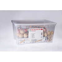 Wooden percussion set for kindergarten