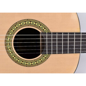 VOLT acoustic guitar set 4/4