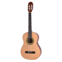 VOLT acoustic guitar set 4/4