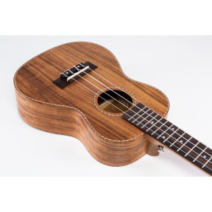 VOLT "Milano" Concerto 24"