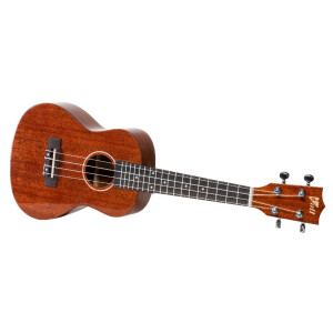 VOLT "Riva" Concerto 24"