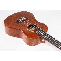 VOLT "Riva" Concerto 24"