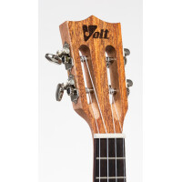 VOLT "Texas" Concerto 24"