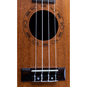 VOLT "Valencia" Tenor