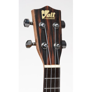 VOLT "Zebrano" Concerto 24"