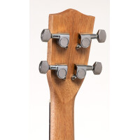 VOLT "Zebrano" Concerto 24"