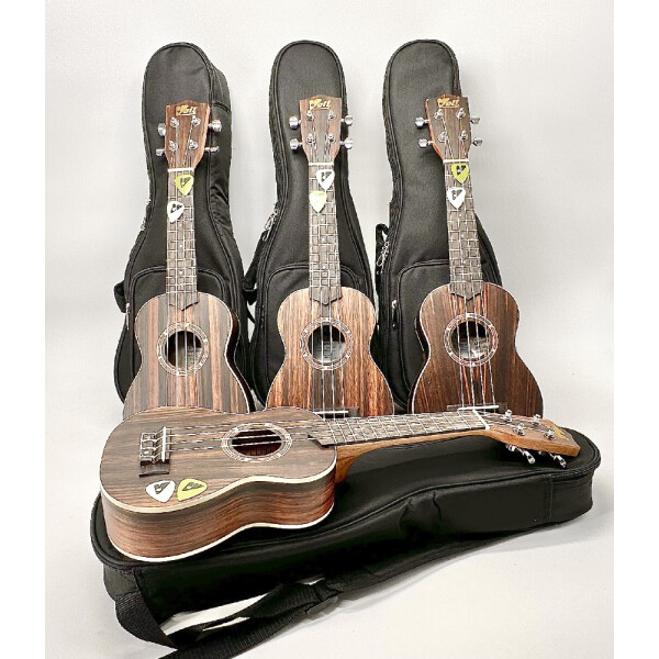 VOLT Ukulele Set for school