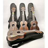 VOLT Ukulele Set for school