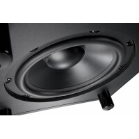 JBL LSR310S