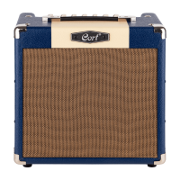 Cort G110 OPSB-15DB GT package