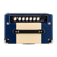 Cort G110 OPSB-15DB GT package