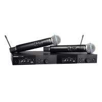 Shure SLXD24DE/Beta58-G59