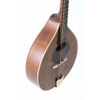 Gewa flat mandolin Pro Arte Antique