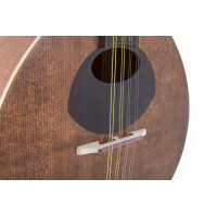 Gewa flat mandolin Pro Arte Antique