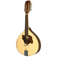Gewa flat mandolin Pro Natura Silver
