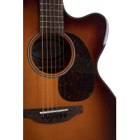 Applause AEJ96-1 Jumbo Cut Electro