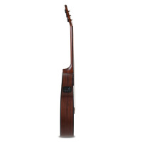 Applause AEO 96-M Orchestra Electro 2